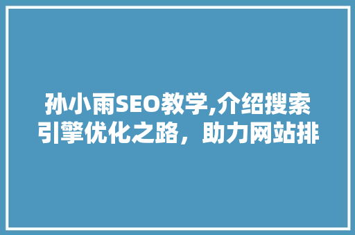 孙小雨SEO教学,介绍搜索引擎优化之路，助力网站排名提升