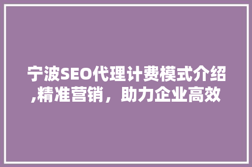 宁波SEO代理计费模式介绍,精准营销，助力企业高效提升排名