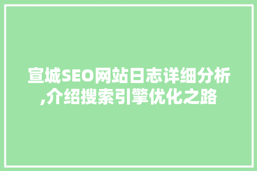 宣城SEO网站日志详细分析,介绍搜索引擎优化之路
