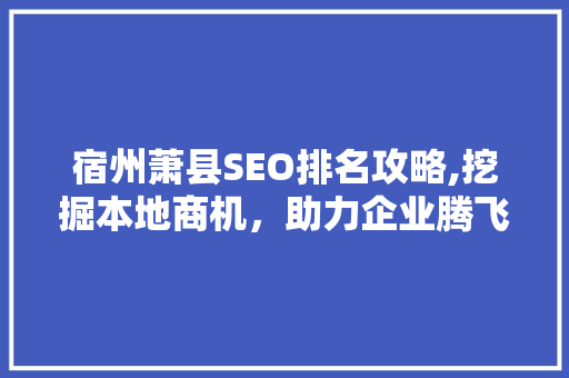 宿州萧县SEO排名攻略,挖掘本地商机，助力企业腾飞