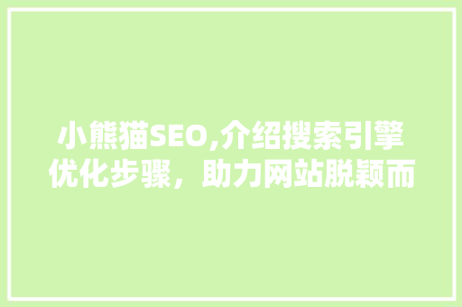 小熊猫SEO,介绍搜索引擎优化步骤，助力网站脱颖而出