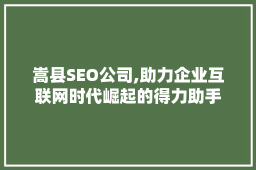 嵩县SEO公司,助力企业互联网时代崛起的得力助手