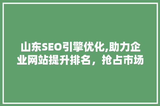 山东SEO引擎优化,助力企业网站提升排名，抢占市场先机