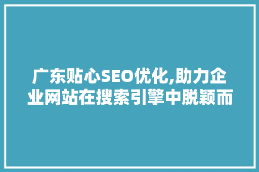 广东贴心SEO优化,助力企业网站在搜索引擎中脱颖而出