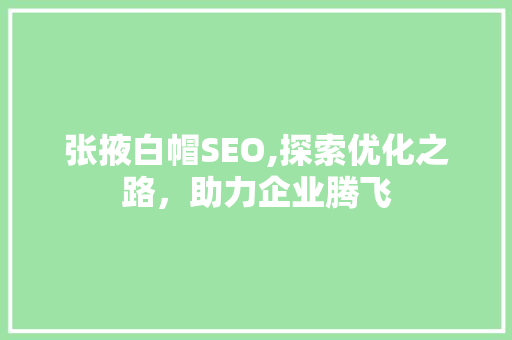 张掖白帽SEO,探索优化之路，助力企业腾飞