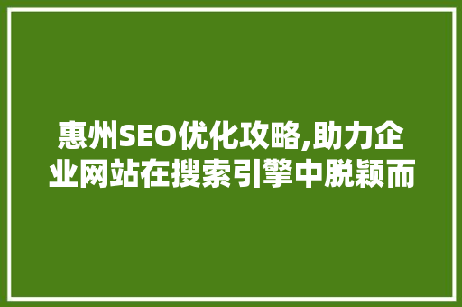 惠州SEO优化攻略,助力企业网站在搜索引擎中脱颖而出