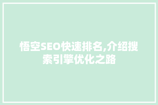 悟空SEO快速排名,介绍搜索引擎优化之路