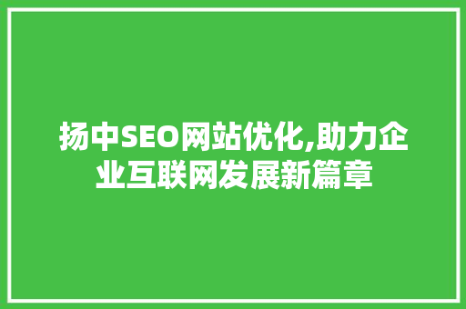 扬中SEO网站优化,助力企业互联网发展新篇章