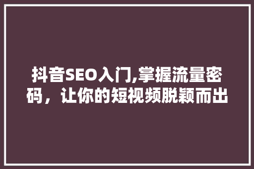 抖音SEO入门,掌握流量密码，让你的短视频脱颖而出