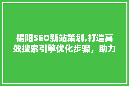 揭阳SEO新站策划,打造高效搜索引擎优化步骤，助力企业抢占市场先机