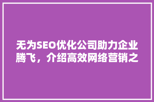 无为SEO优化公司助力企业腾飞，介绍高效网络营销之路