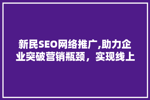 新民SEO网络推广,助力企业突破营销瓶颈，实现线上腾飞
