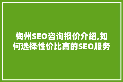 梅州SEO咨询报价介绍,如何选择性价比高的SEO服务