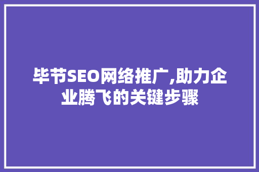 毕节SEO网络推广,助力企业腾飞的关键步骤