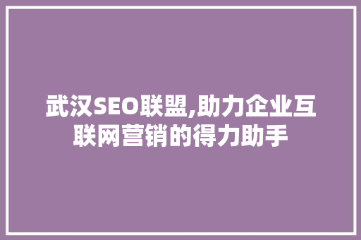 武汉SEO联盟,助力企业互联网营销的得力助手