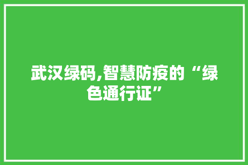 武汉绿码,智慧防疫的“绿色通行证”