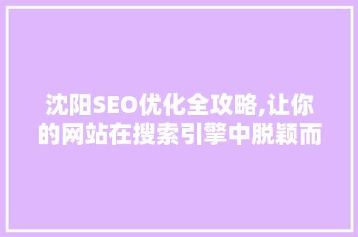 沈阳SEO优化全攻略,让你的网站在搜索引擎中脱颖而出
