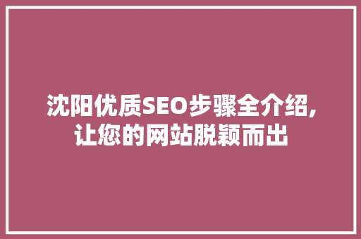 沈阳优质SEO步骤全介绍,让您的网站脱颖而出