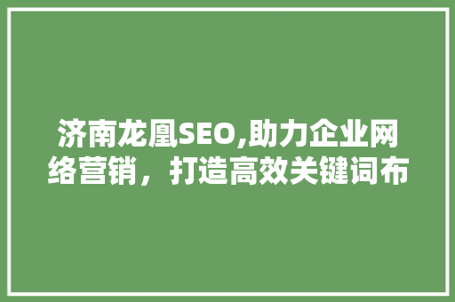 济南龙凰SEO,助力企业网络营销，打造高效关键词布局步骤
