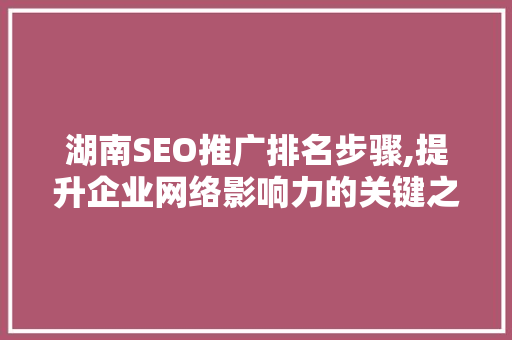 湖南SEO推广排名步骤,提升企业网络影响力的关键之路