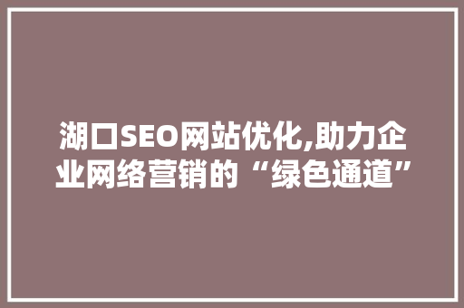 湖口SEO网站优化,助力企业网络营销的“绿色通道”