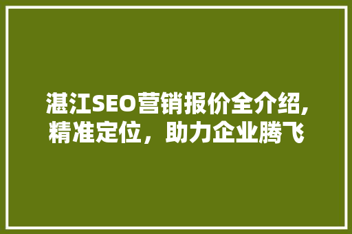 湛江SEO营销报价全介绍,精准定位，助力企业腾飞