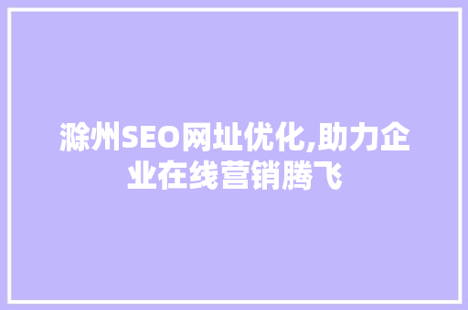 滁州SEO网址优化,助力企业在线营销腾飞