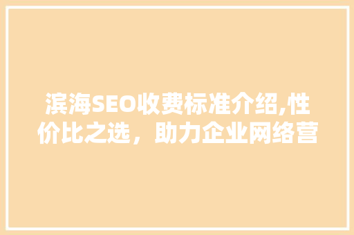 滨海SEO收费标准介绍,性价比之选，助力企业网络营销腾飞