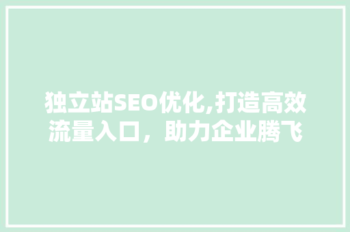 独立站SEO优化,打造高效流量入口，助力企业腾飞