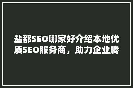 盐都SEO哪家好介绍本地优质SEO服务商，助力企业腾飞