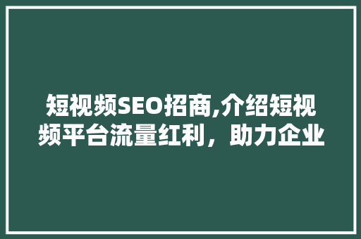 短视频SEO招商,介绍短视频平台流量红利，助力企业快速崛起
