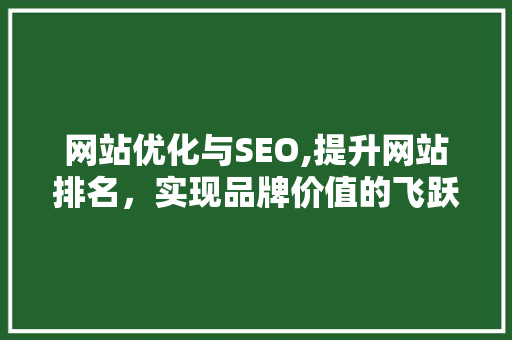 网站优化与SEO,提升网站排名，实现品牌价值的飞跃