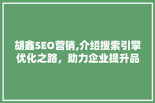 胡鑫SEO营销,介绍搜索引擎优化之路，助力企业提升品牌影响力