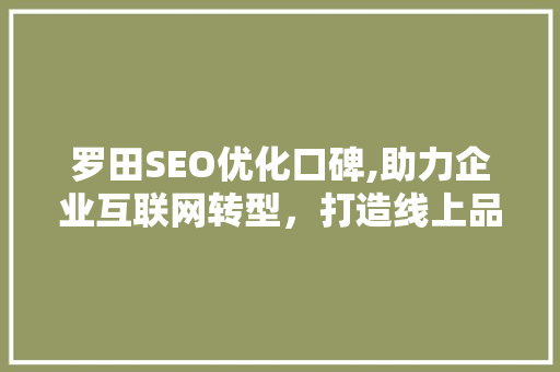 罗田SEO优化口碑,助力企业互联网转型，打造线上品牌新高度