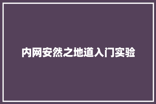 内网安然之地道入门实验