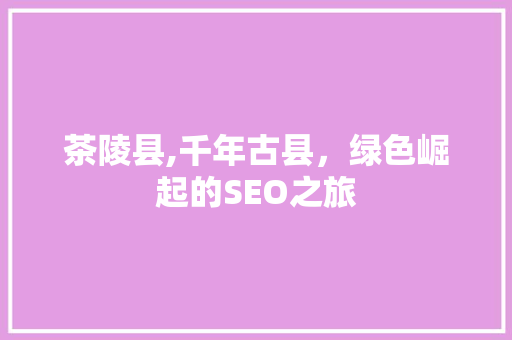茶陵县,千年古县，绿色崛起的SEO之旅