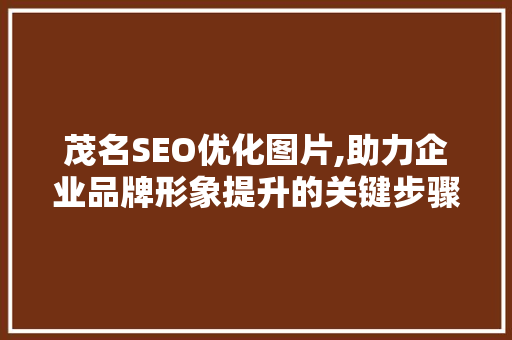 茂名SEO优化图片,助力企业品牌形象提升的关键步骤
