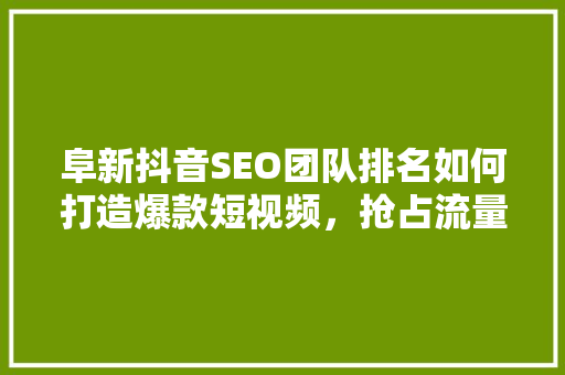阜新抖音SEO团队排名如何打造爆款短视频，抢占流量红利