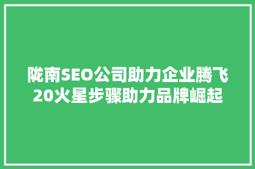 陇南SEO公司助力企业腾飞20火星步骤助力品牌崛起