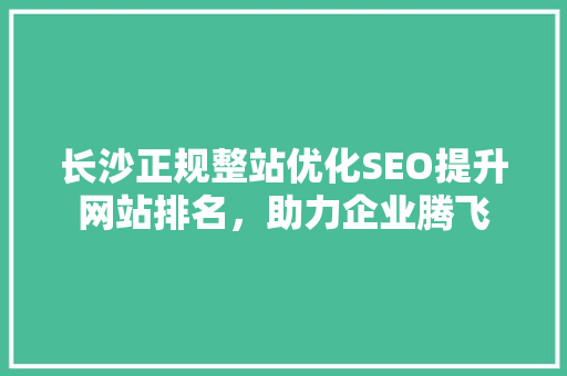 长沙正规整站优化SEO提升网站排名，助力企业腾飞