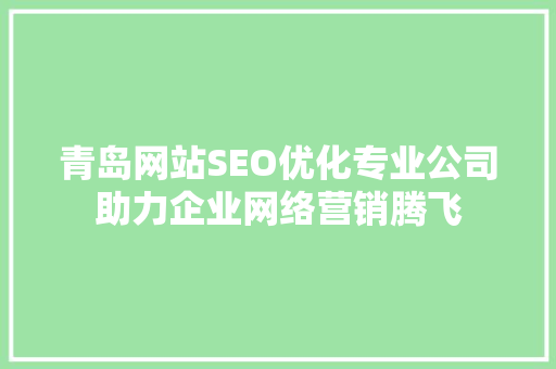 青岛网站SEO优化专业公司助力企业网络营销腾飞