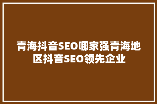青海抖音SEO哪家强青海地区抖音SEO领先企业