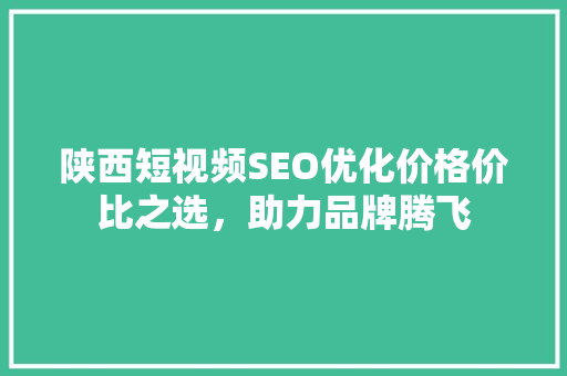 陕西短视频SEO优化价格价比之选，助力品牌腾飞