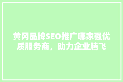 黄冈品牌SEO推广哪家强优质服务商，助力企业腾飞