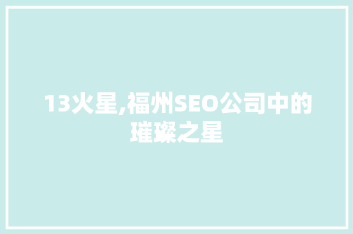 13火星,福州SEO公司中的璀璨之星
