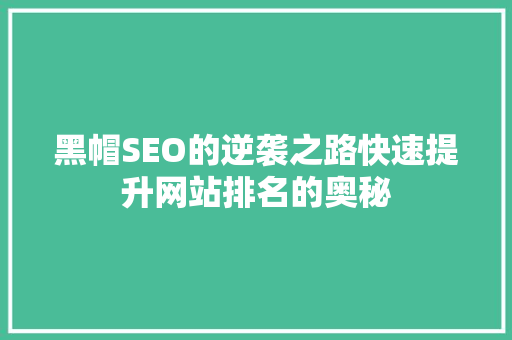 黑帽SEO的逆袭之路快速提升网站排名的奥秘
