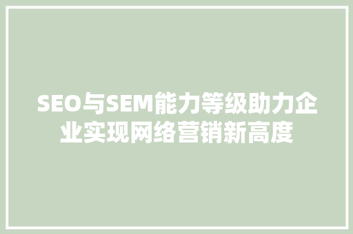 SEO与SEM能力等级助力企业实现网络营销新高度