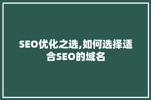 SEO优化之选,如何选择适合SEO的域名