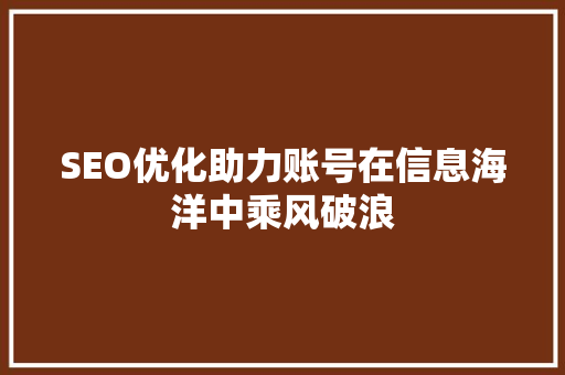 SEO优化助力账号在信息海洋中乘风破浪