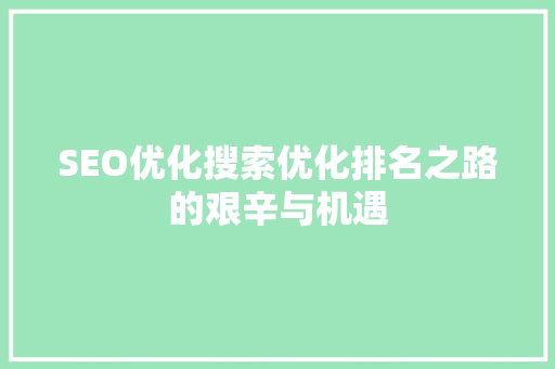SEO优化搜索优化排名之路的艰辛与机遇